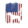 Deutsch Kurzhaar Hund German Pointer