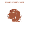 Tysk pointerhund Tysk korthår
