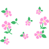 Create Your Own Magic
