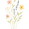 Aquarellwildblumenwiese