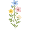 Trio aquarelle de fleurs sauvages