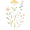 Wilde Blumenkraft Wasserfarben