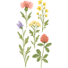 Aquarelle de fleurs sauvages
