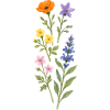 Bouquet aquarelle de fleurs sauvages