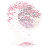 Cherry Blossom Sakura Cherry Blossom