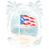 Puerto Rico Boricua