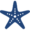 Blue Starfish Vacation Beach Sea