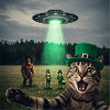 Funny Cats Selfie St Patricks Day