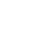 Boston Terrier Head