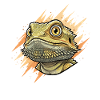 Sunspike Bearded Dragon Head