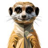 Suricate Suricate Douce Mangouste Suricate
