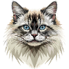 Birman Cat Sacred Birman Cat Cute Birman Cats