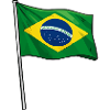 Brazilian flag art