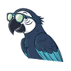 Parrot stylish green glasses