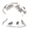 Playing Bigfoot Cricket