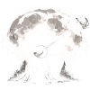 Bigfoot Banjo Moon