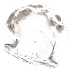Bigfoot Vélo de VTT
