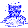 Blue cat on clouds
