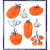 Tomato Bulb Garlic Pattern