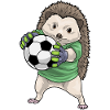 Igel Torwart Fußball Sport