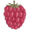 Framboise Aquarelle