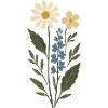 Daisy Lavender Flower Collage