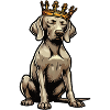 Weimaraner Weimaraner Lovers Weimaraner Keeper