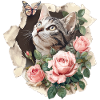 Chat et papillon
