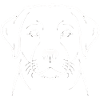Labrador hund Linjekunst hunder