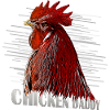 Chicken Fans - - Rooster - ChickenDaddy