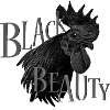 Ayam Cemani - Chicken Fans - Rooster - Rooster
