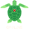 Offline Mode Turtle