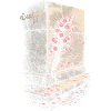 Cherry Blossom Sakura Cherry Blossom