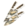Prepper Survivalists