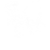 Pêcheur Pêcheur Dinosaure Garçons Pêcheurs