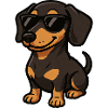 Cool dachshund with sunglasses boyfriend master