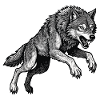 Wild Wolf Race Mascot Alpha Wolf