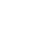 Zebu What Else Cow Humor