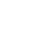 Zebu Simply Cool Logo