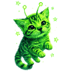 Alien Cat