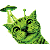 UFO gatto alieno
