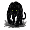 Panthère Noire Jungle Mascotte Félin Sauvage