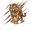 Wild tiger in scratch pattern
