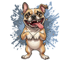 Pug Pose Splash