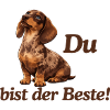 DackelLiebe: Du bist der Beste