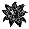 Lily flower