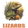 Lizards Lizard