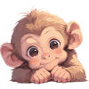 Macaque Macaque
