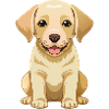 cute labrador retriever