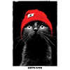 Cat in Red Cap: Noir Contrast